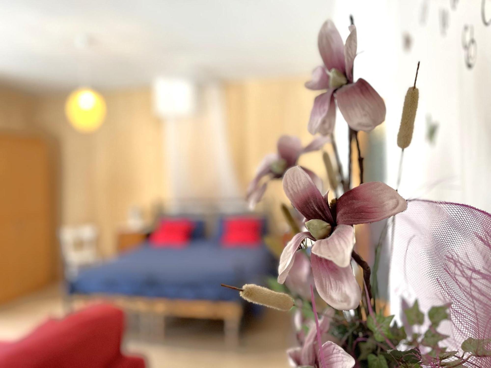 טליו B&B Casa Taralin מראה חיצוני תמונה